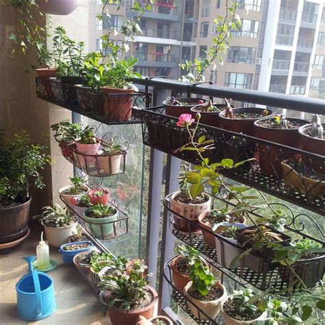 陽台延伸 家裡不能種的植物